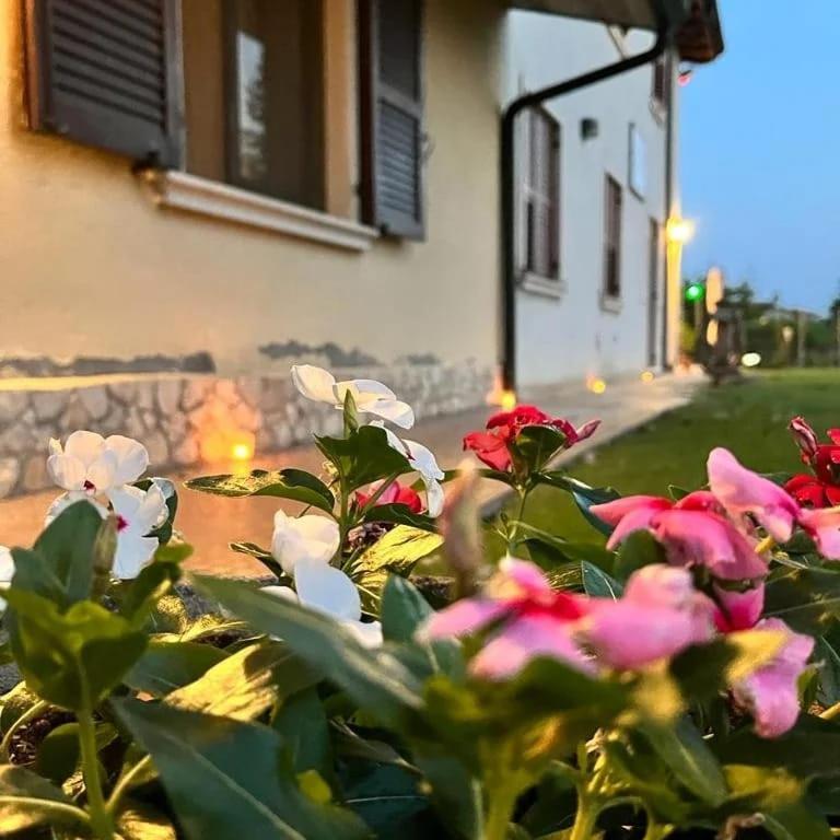 Corte Ohana Monteforte d'Alpone Bagian luar foto